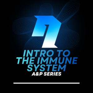 A&P Series: Intro to the Immune System