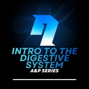 A&P Series: Intro to the Digestive System