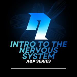 A&P Series: Intro to the Nervous System
