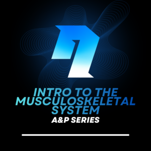 A&P Series: Intro to the Musculoskeletal System